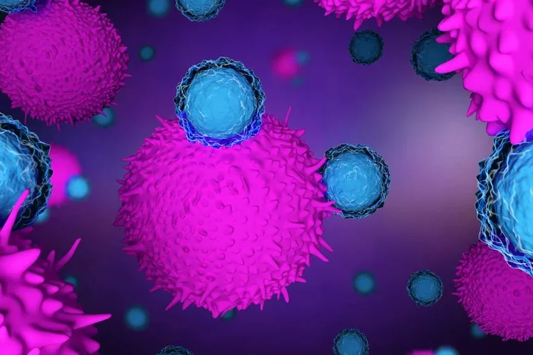 Cancer vaccines help train T cells (blue) to attack tumor cells. 