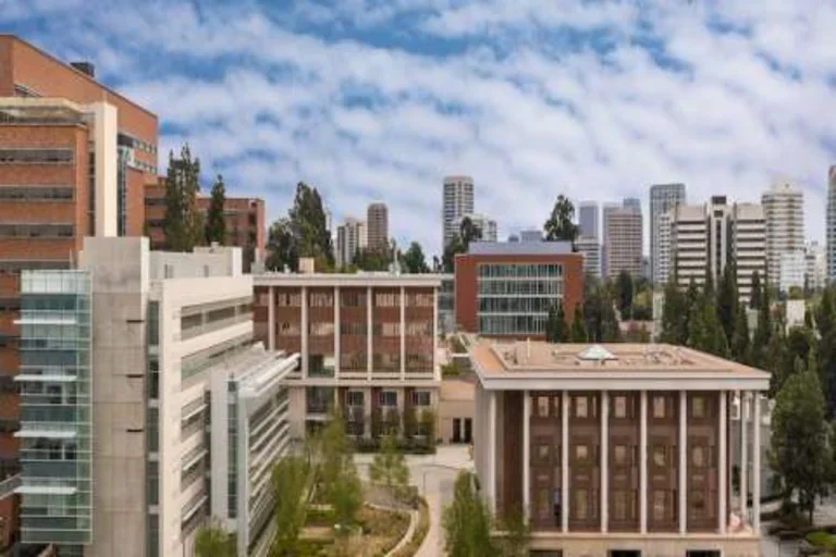 UCLA Stein Eye Institute