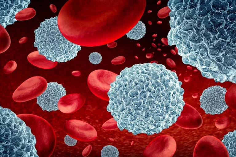 white blood cells
