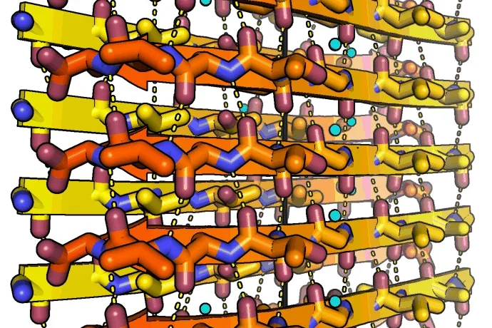 Amyloid fibrils of human alpha-synuclein