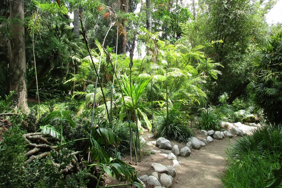 Botanical Garden