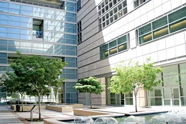 Clinical Departments Neuroscience