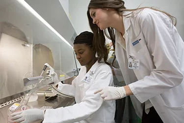 Medical school students working in a lab
