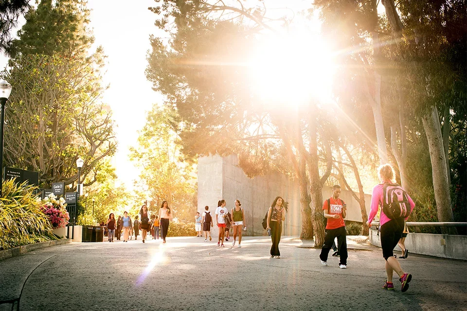 Sunny UCLA Medical School Campus
