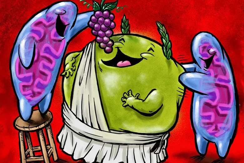 Mitochondria-Illustration