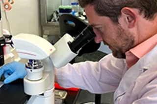 Mittelman-Lab - Researching obesity and cancer