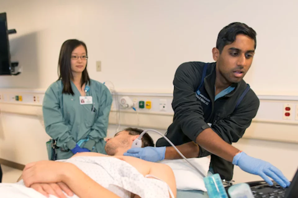 Residency & Fellowship Trainees