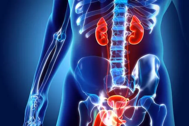 Testicular Cancer Symptoms Urology Oncology Graphic