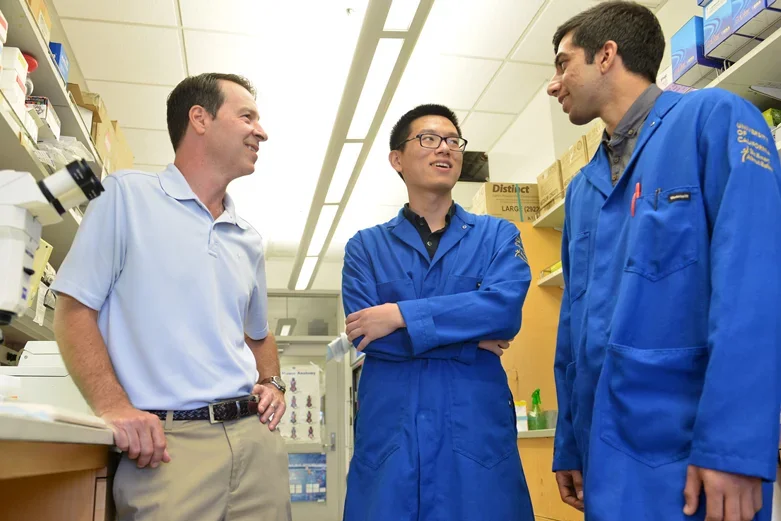 Tontonoz Lab - researching metabolism, obesity, diabetes, and metabolic disorders