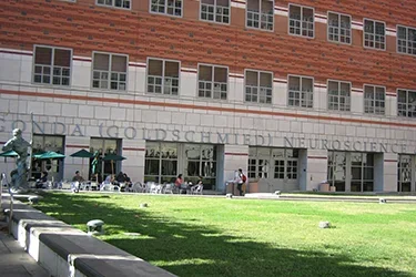 UCLA Brain Research Institute