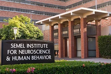 UCLA Semel Institute For Neuroscience And Human Behavior