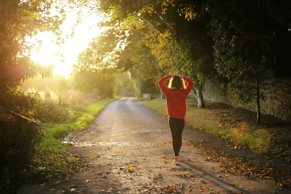 Person walking down a sunny path