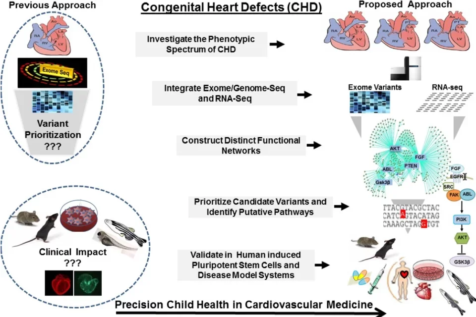 congenital heart defects 
