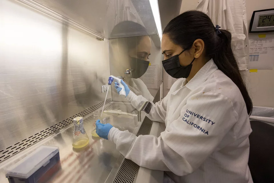 Graduate Programs in Bioscience at Work in the Lab