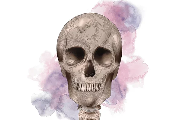 medical-school-establishes-the-first-willed-body-program