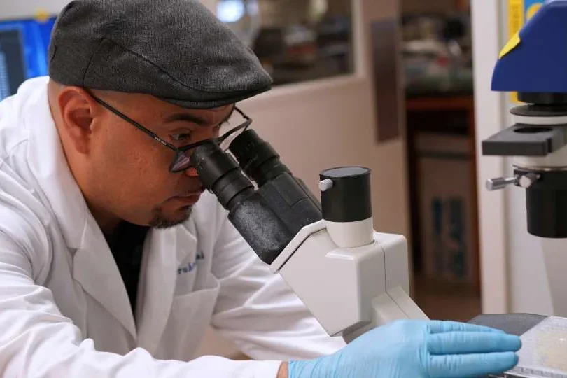 Anthony J. Covarrubias, PhD, looking into a microscope