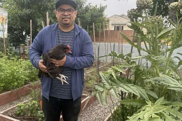 Anthony J. Covarrubias, PhD, standing in a garden holding a live chicken 