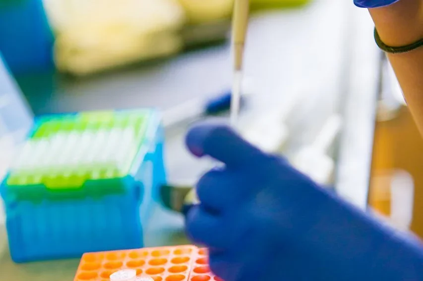 Hematology imagery - biological samples