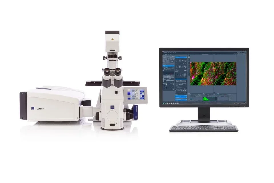 Zeiss LSM880 with Airyscan, 2-Photon and FLIM Module