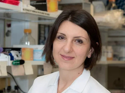 Eirini Papapetrou, MD, PhD headshot