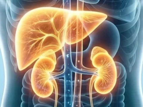 Kidney Liver Connection