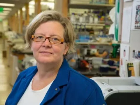 Kathrin Plath in the lab