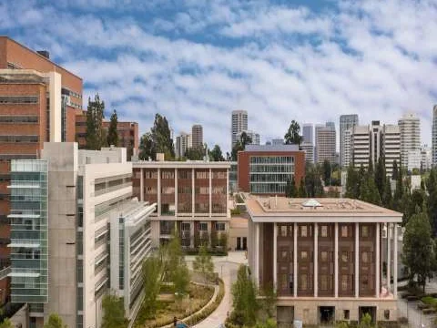 UCLA Stein Eye Institute