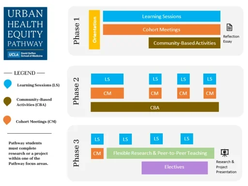 Pathway schematic 
