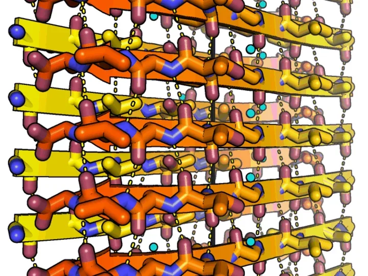 Amyloid fibrils of human alpha-synuclein