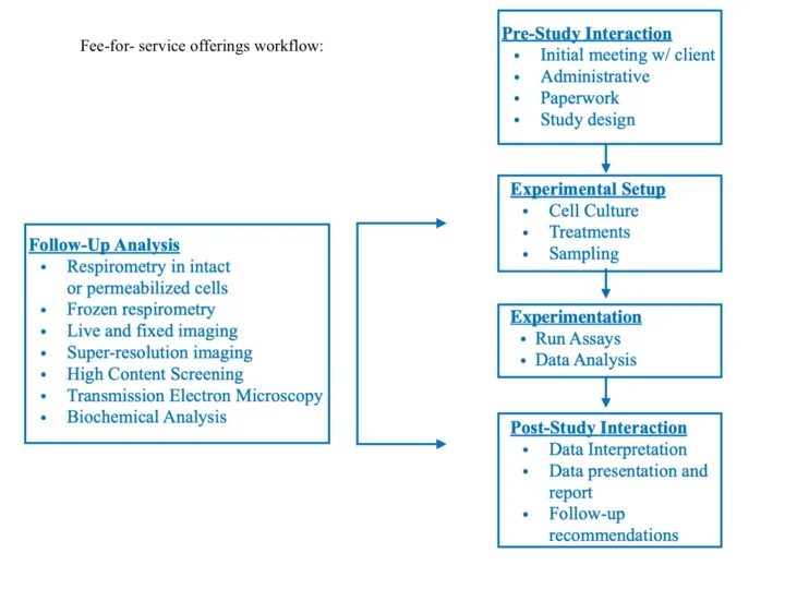 workflow of metabolism theme