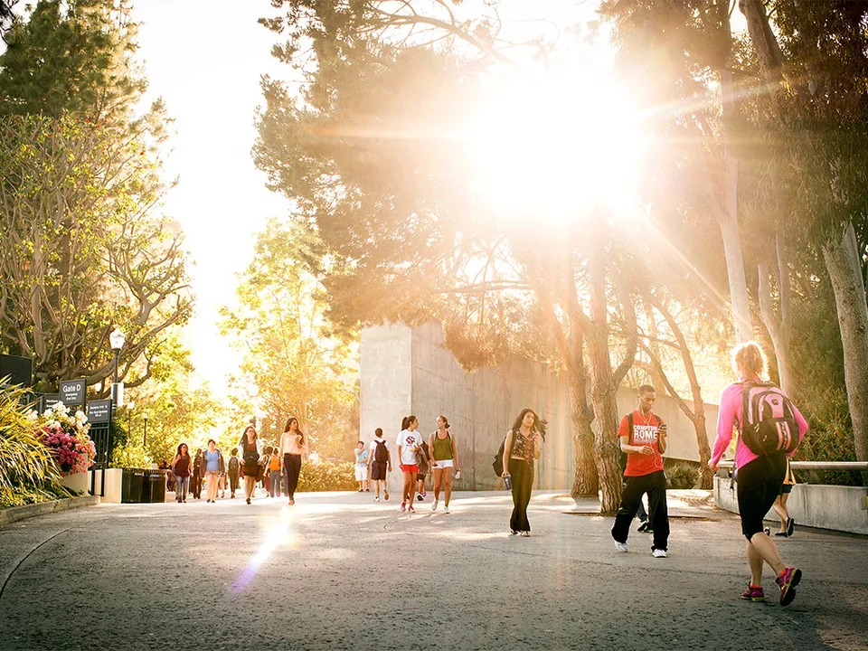 Sunny UCLA Medical School Campus