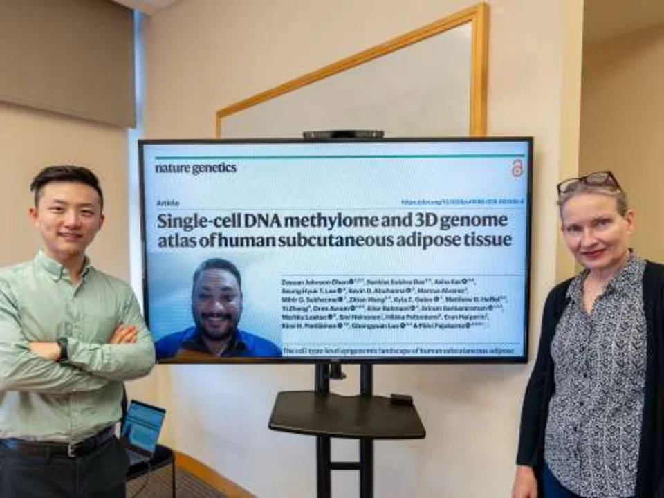  Zeyuan (Johnson) Chen, Sankha Subhra Das (on screen), Päivi Pajukanta.