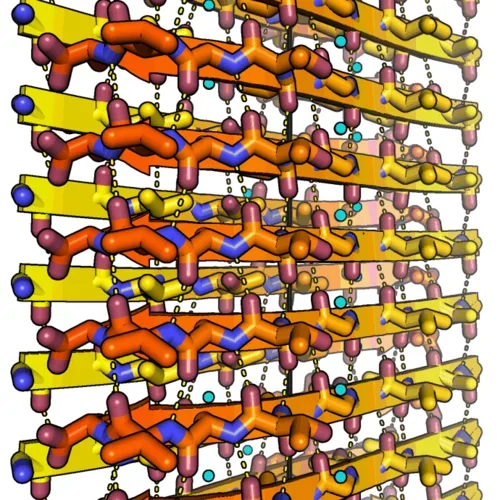 Amyloid fibrils of human alpha-synuclein
