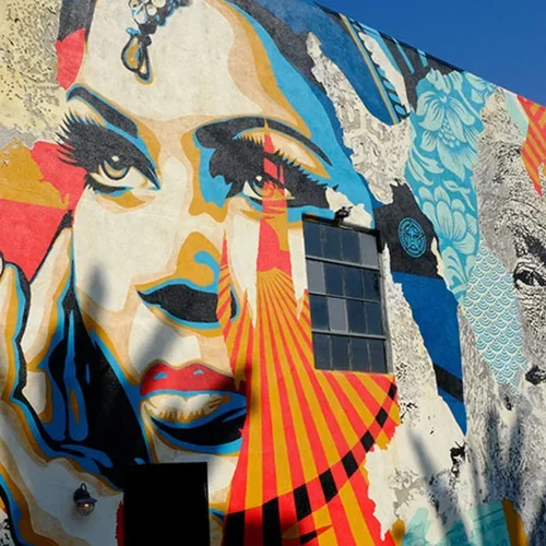 Arts Museums and Culture for Medical School Students