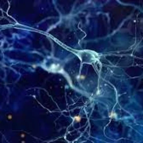 Even in sleep, your brain’s neurons are humming along to Mozart
