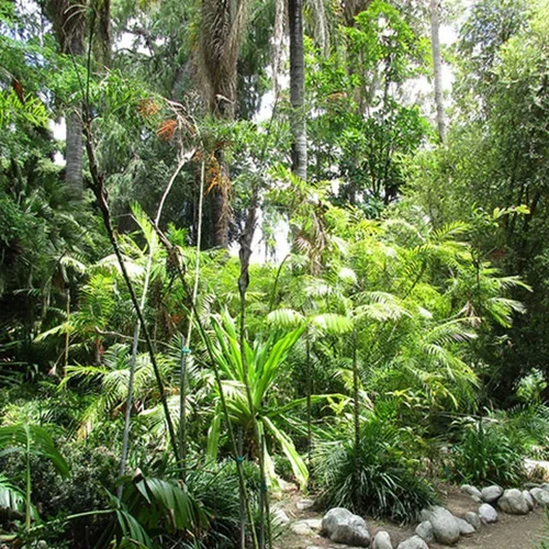 Medical School Botanical Gardens