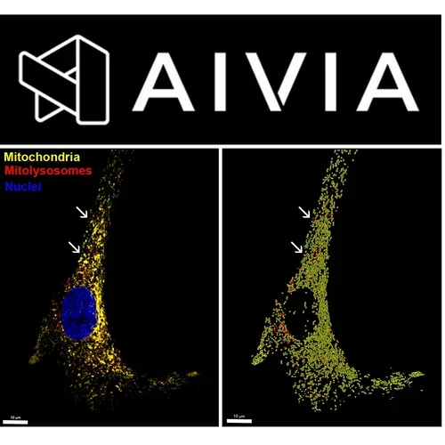 Aivia workspace icon
