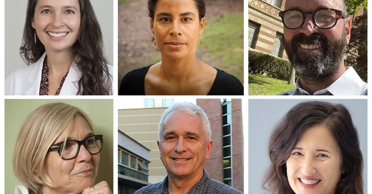 Six professors receive UCLA Public Impact Research Awards | UCLA ...