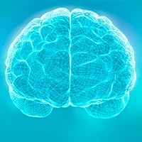 Autism Brain Mapping Center and neuroimaging in Autism