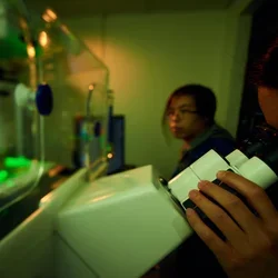 ATP Production and Mitochondrial Diseases: Shirihai Lab