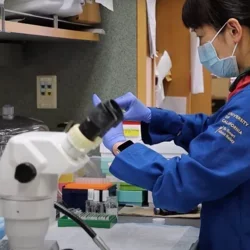 MS Symptoms in Women: Researcher in the Voskuhl Lab