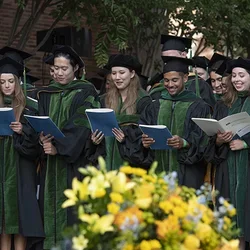 Medicine in a digital world