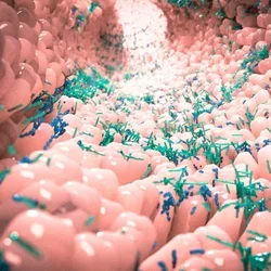 Microbiota