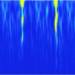 Neurons synchronized