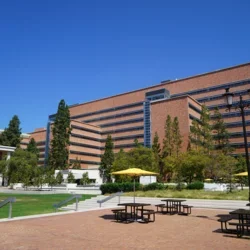 A view of the South Tower of CHS from Switzer Plaza