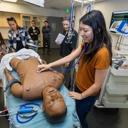 Computerized patient simulator that has heart and lung sounds, a pulse, and can be shocked with a defibrillator.
