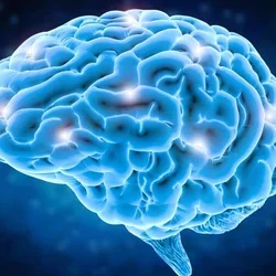 Brain with lit up areas