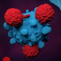 Microscopic image of cells 