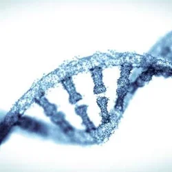 Close up of one DNA strand