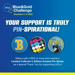 Blue and Gold challenge pin designs